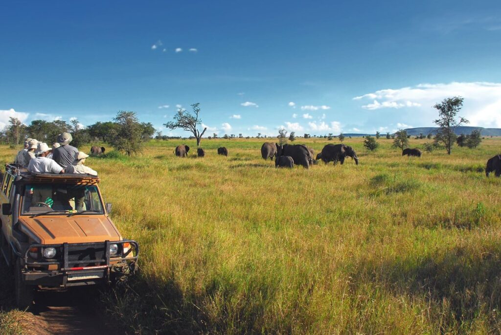 Africa’s untapped $322bn tourism potential hinges on tackling key barriers