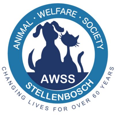 Stellenbosch animal welfare calls for 1 000 monthly donors amid surge in surrenders