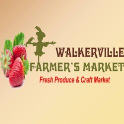 Walkerville Farmers Market