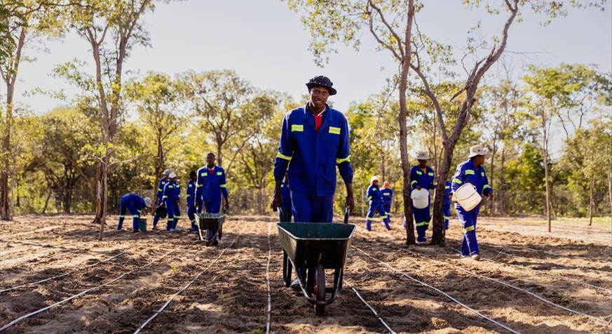 Final call for entries: wilderness impact challenge offers usd 100 000 for impact-led innovation