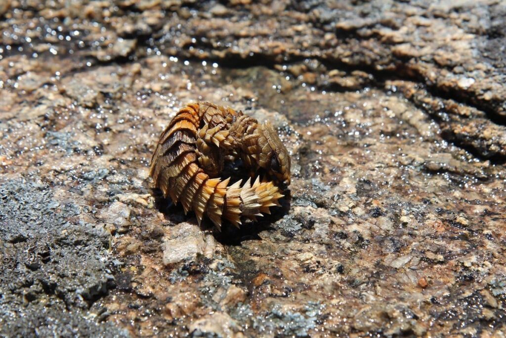 CapeNature warns small visitor offences can have a big impact on biodiversity