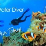 Ultimate Open Water Diver - Course